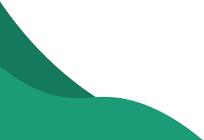 section wave decoration section wave decoration