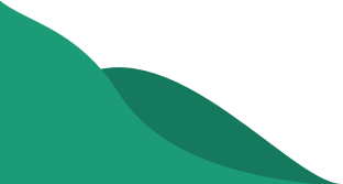 section wave decoration section wave decoration